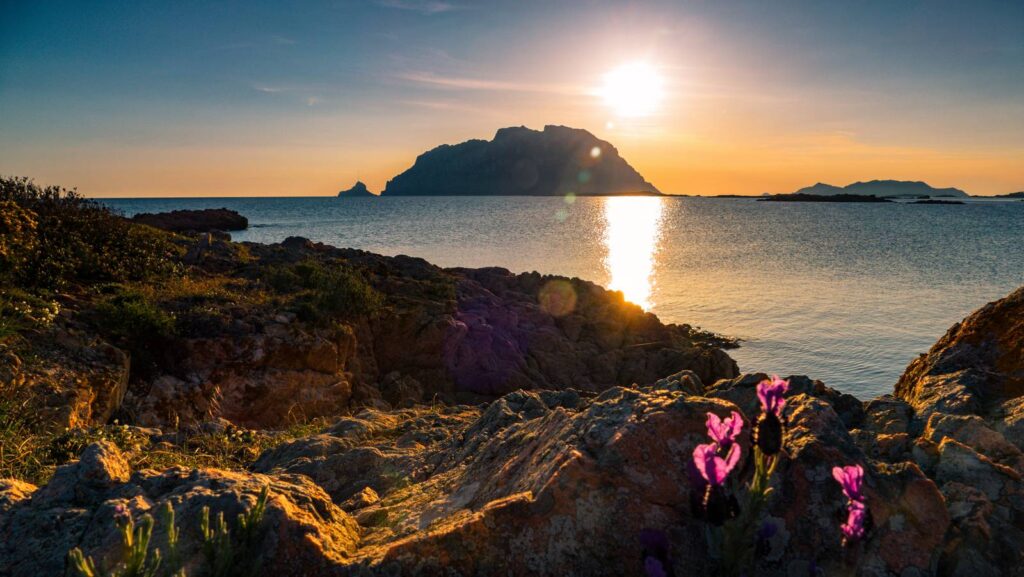 Luce dorata di settembre sul mare