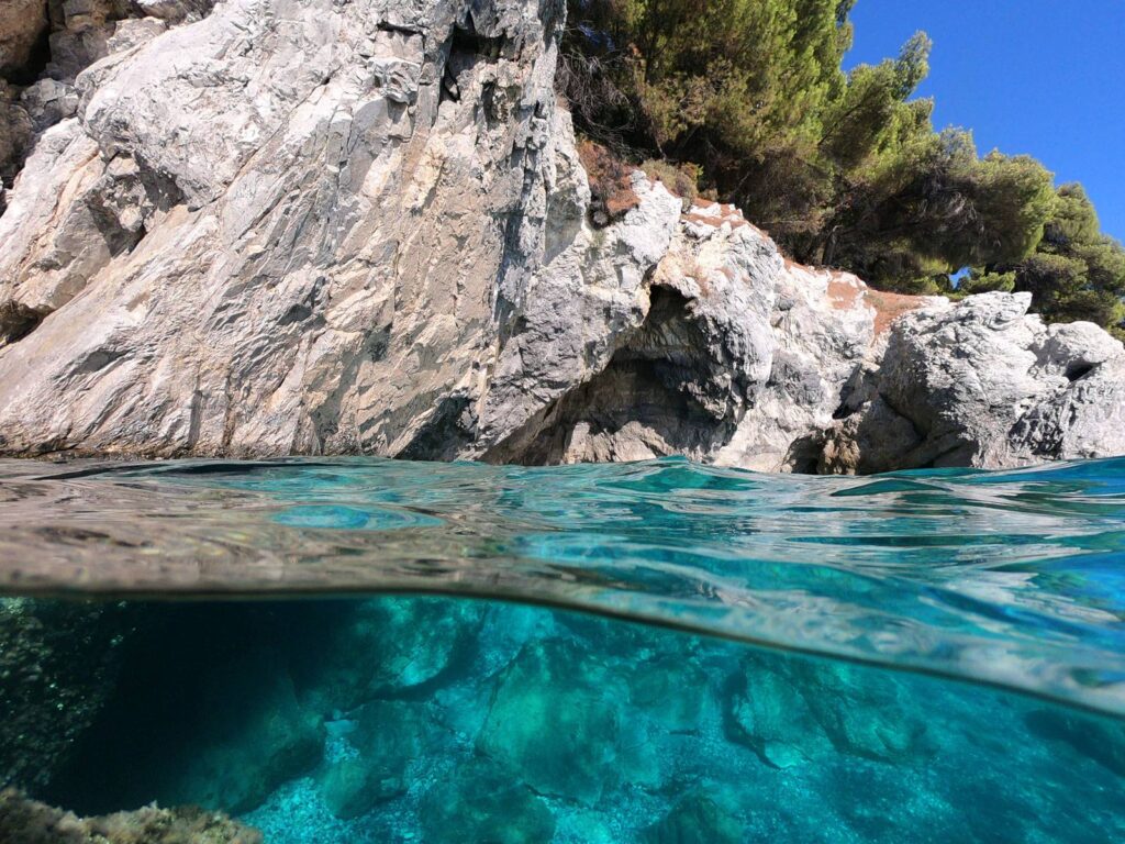 Prateria di Posidonia oceanica