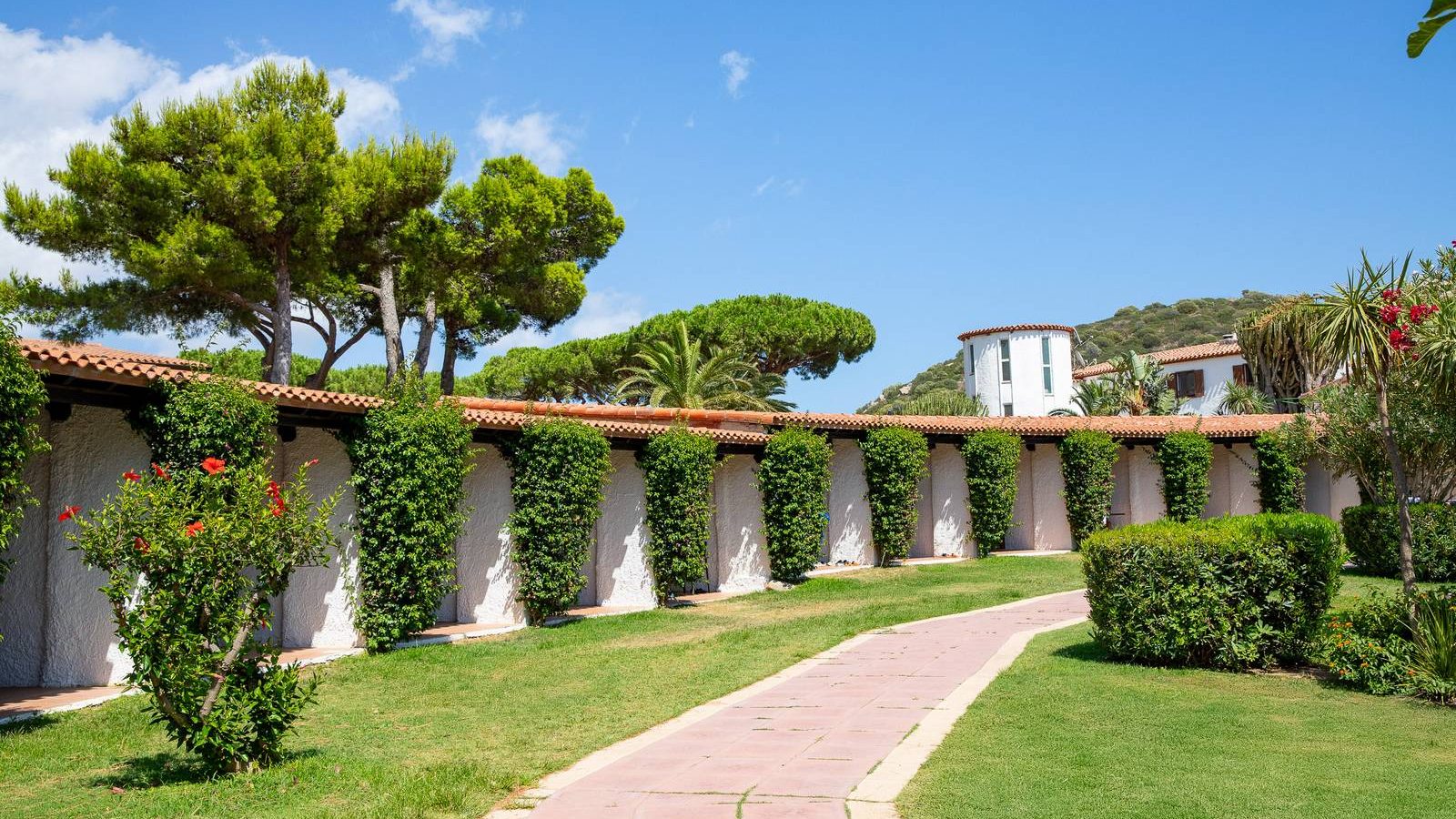 standard_mediterraneo_1