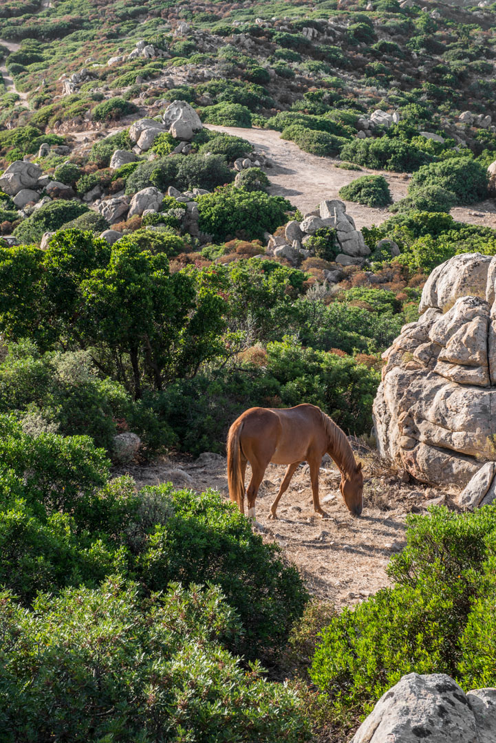 Italy  - Sardinia