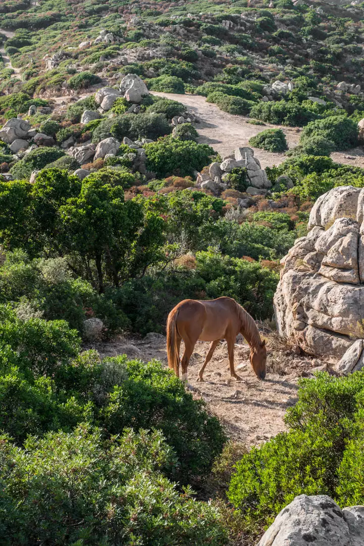 Italy  - Sardinia